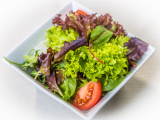 Salat, Blattsalat