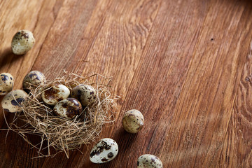Conceptual still-life with quail eggs in hay nest over dark wooden background, close up, selective focus