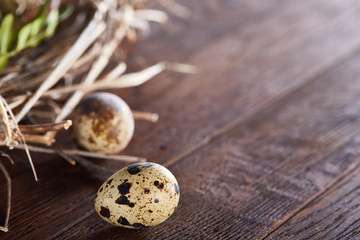 Obraz na płótnie Canvas Willow nest with quail eggs on the dark wooden background, top view, close-up, selective focus