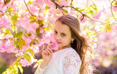 Girl on smiling face near sakura. Little happy girl playing under blooming cherry tree with pink flowers. Child holding sakura blossom. Summer fun for kids outdoors in beautiful spring garden.