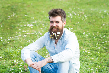 Hipster on happy face sits on grass. Guy looks nicely with daisy or chamomile flowers in beard. Natural hair care concept. Man with long beard and mustache, defocused green meadow background.