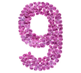 Arabic numeral 9, nine, from flowers of lilac, isolated on white background