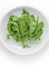 Rocket salad in white plate on isolated white background


