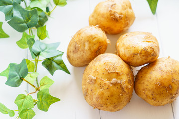 食材 じゃがいも