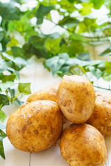 食材 じゃがいも