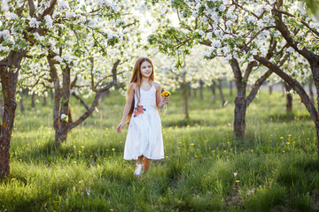Fototapeta na wymiar A portrait of a beautiful young girl with blue eyes in a white dress with dandelions in the garden with apple trees blosoming having fun and enjoying smell of flowering spring garden at the sunset