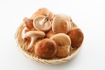椎茸