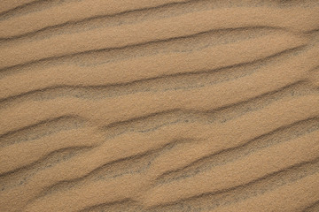Fototapeta na wymiar Texture of white sand in the morning.