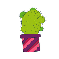 Illustration of cactus. Vector. Cacti vector illustration