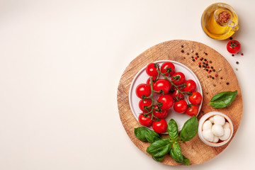 Tomatoes, basil, mozzarella cheese. Caprese salad ingredients