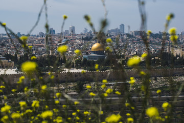 Old city Jerusalem