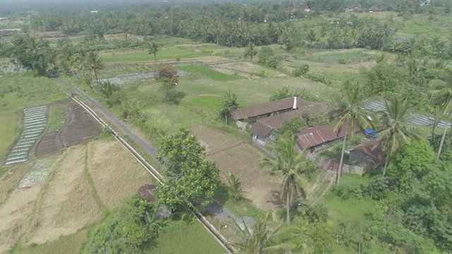 Green country side and rice farm aerial footage,  Yogyakarta, Indonesia - April 2018