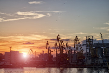 Obraz premium Cargo seaport, ships, a lot of cargo cranes