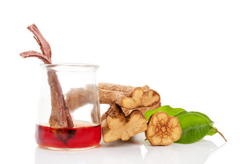 Ayahuasca brew in glass with banisteriopsis caapi wood.