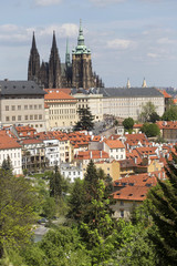 Obraz premium View on the spring Prague City with the green Nature and flowering Trees, Czech Republic