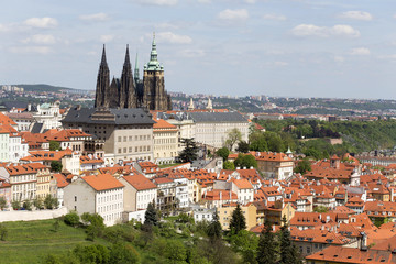 Obraz premium View on the spring Prague City with the green Nature and flowering Trees, Czech Republic