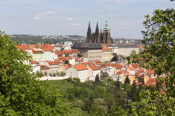 Fototapeta premium View on the spring Prague City with the green Nature and flowering Trees, Czech Republic