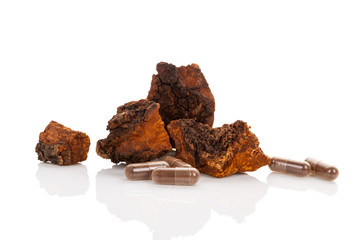 Inonotus obliquus, chaga chunks isolated.