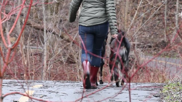 femme avec  deux chiens