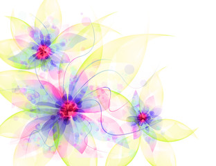 Floral romantic tender background