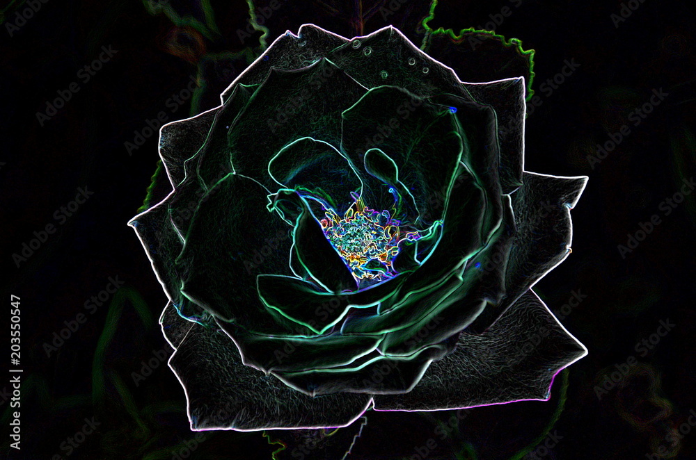 Poster abstract drawing of a rose in gloomy colors using computer processing.