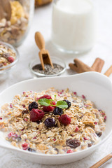 Muesli With Milk, Chia Seeds, Berries and Cinnamon with Freshly Squeezed Orange Juice