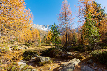 paesaggio alpino autunnale