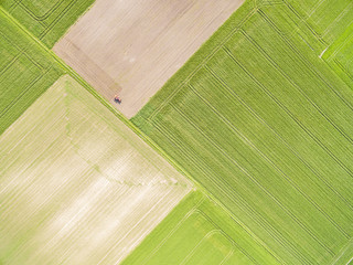 Krajobraz pól uprawnych widziany z powietrza. Abstrakcyjna tapeta - obszary rolnicze z lotu ptaka.