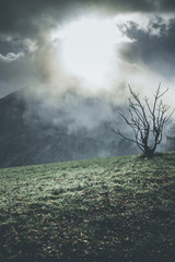 mountain moody landscape - springtime mood - desaturated style image