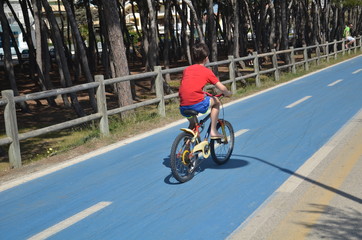 Naklejka premium child cycling on bike path