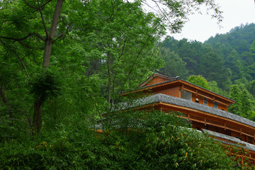 Obraz premium house, architecture, building, wooden, home, ancient, wood, temple, roof, garden, village, sky, traditional, rural, nature, travel, landscape, asia, green, summer, cottage, hut, grass, china, tree