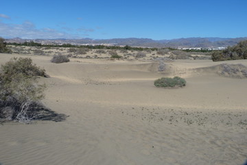 Sandd&uuml;nen von Maspalomas auf Gran Canaria.