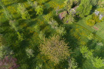Luftaufnahme blühende Streuobstwiesen im Frühling