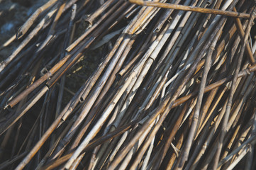 The unique pattern view of reeds twigs on the heap. Cinematic effect.