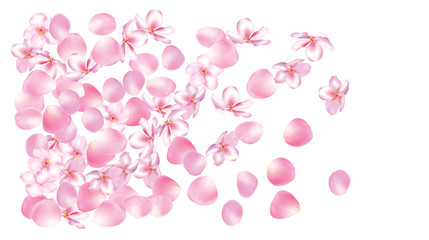Fototapeta na wymiar Wedding Sakura Cherry, Rose Petals Floral Confetti. Shower Vector Peach Apple Blossom Soft Sakura Cherry and Rose Confetti Falling Down. Windy Floral Design, Natural Cosmetics Decoration.