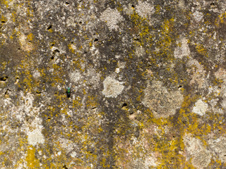 Old concrete wall