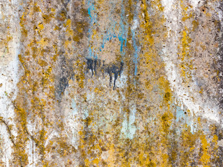 Old concrete wall