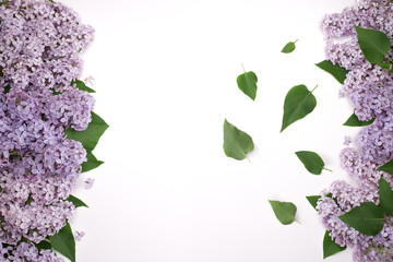 Lilac flowers with green leaves isolated on white background. Suitable for screen saver and texture.