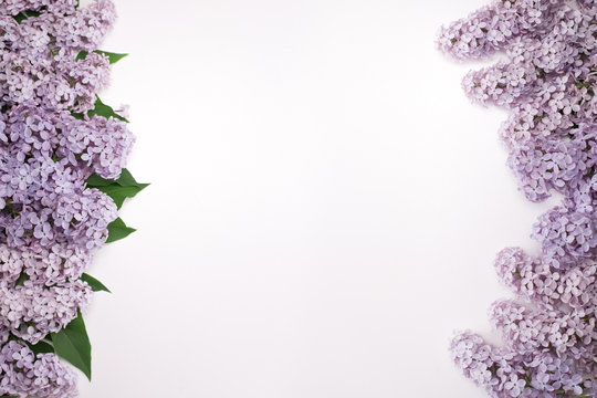 Beautiful lilac flowers on both sides of the screen. On one side are flowers with leaves. A photo from a close distance. Flowers isolated on white background.