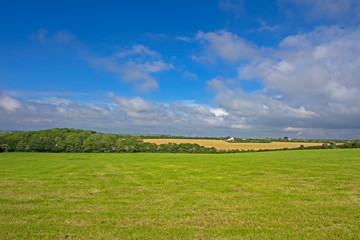 Green field Cornwall