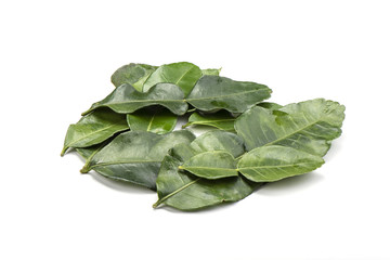 Several lime leaves