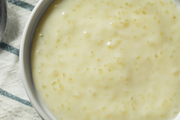 Sweet Homemade Tapioca Pudding