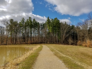 Path to Pines