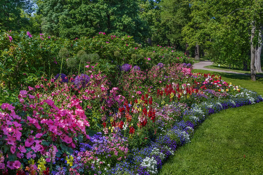 Flower bed in park, Russia
