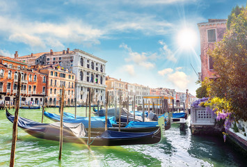 Obraz premium Canal Grande w Wenecji