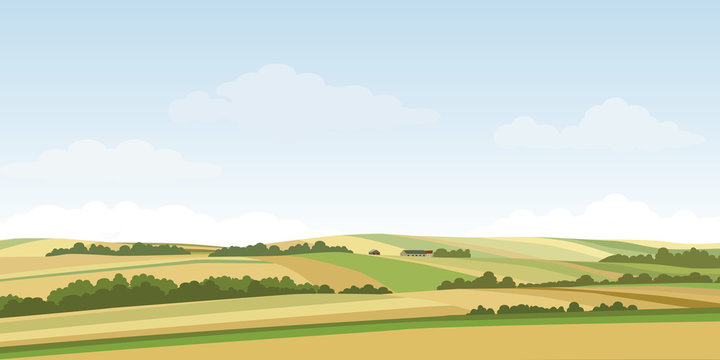 Green hill countryside landscape. Vector illustration of panorama field landscape and cloud sky.