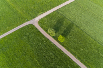 Luftbild mit Blick auf Wiesen im Frühling