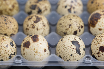 Obraz premium Quail eggs on egg box, side view, focus on front, black background