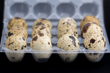 Quail eggs on egg box, side view, focus on front, black background