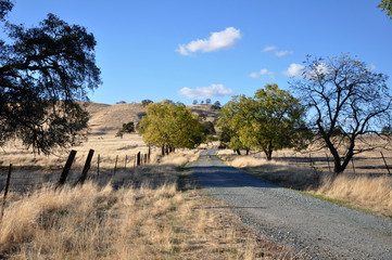 Clements, California November 2012